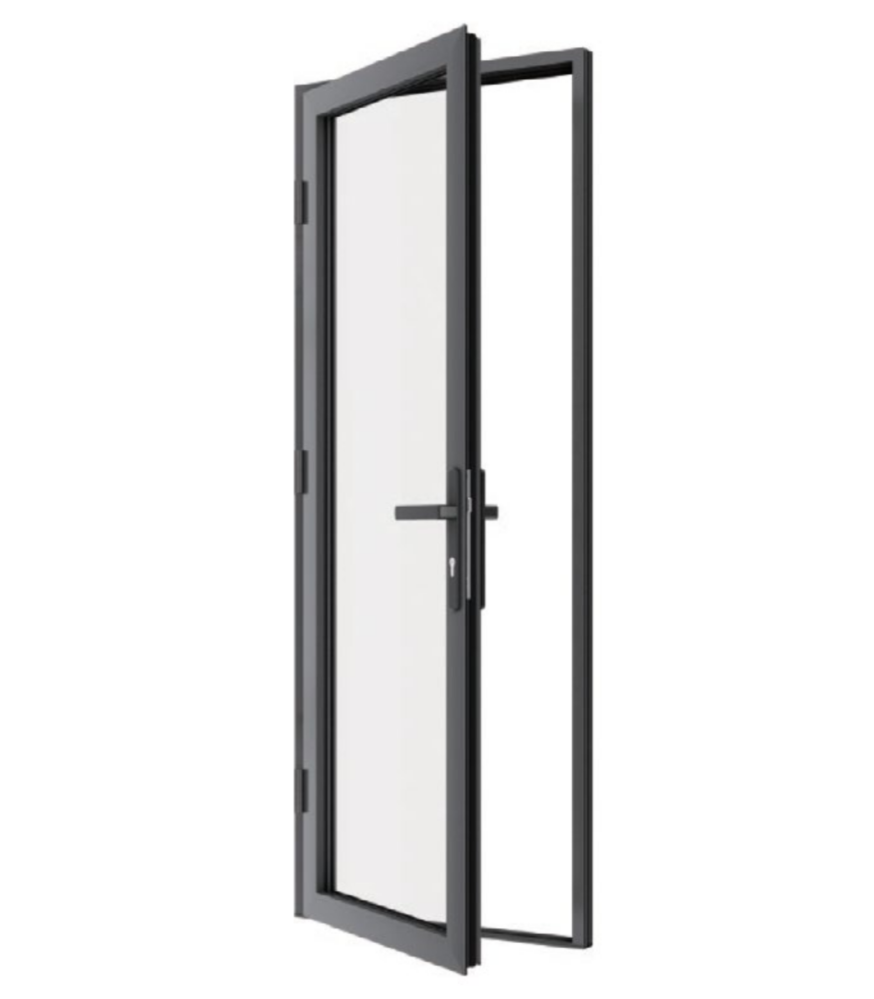 VLX 100 Swing / Entry Door in Tampa, FL | Lightwell Windows Tampa - detail 2