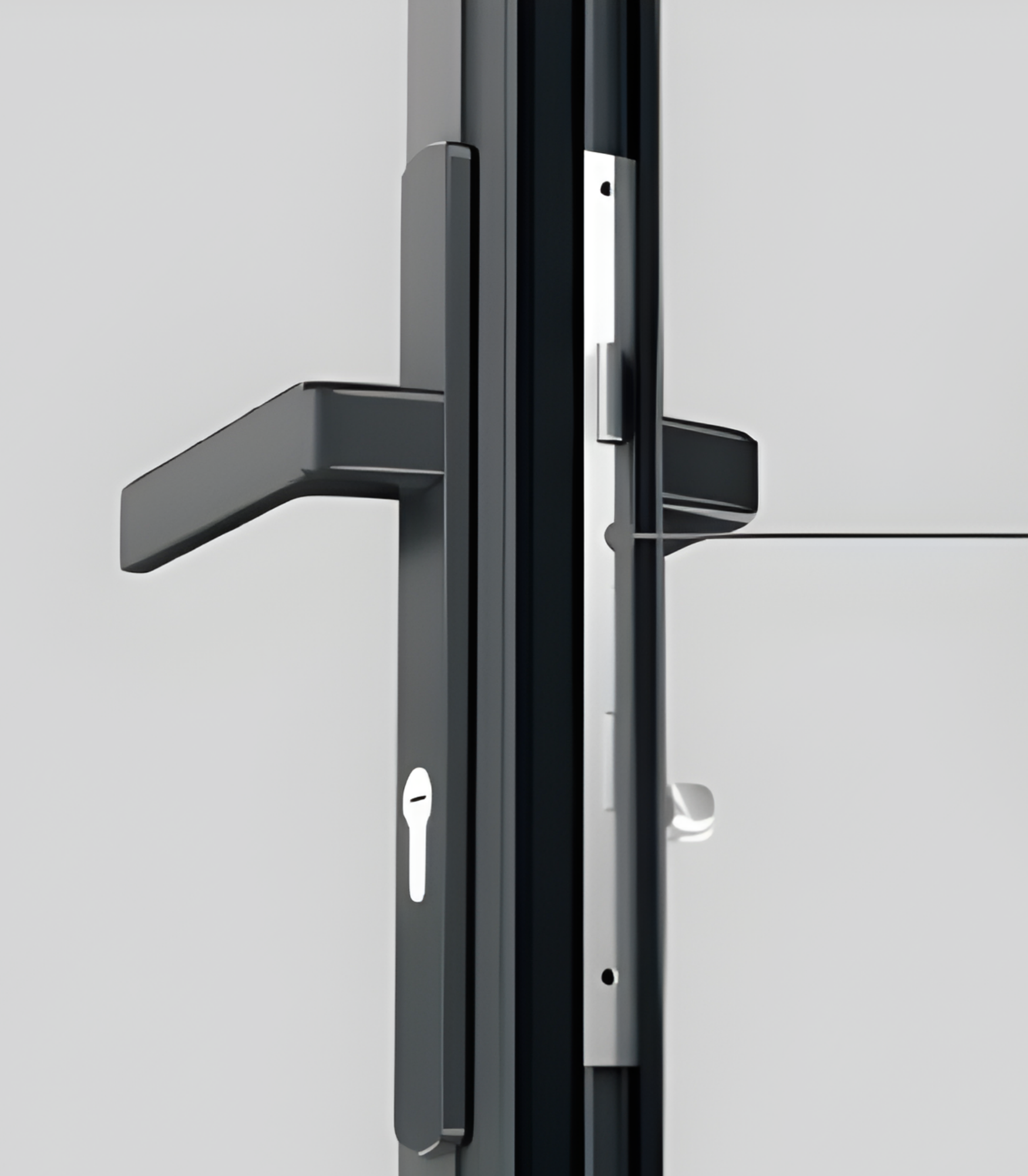 VLX 100 Swing / Entry Door in Tampa, FL | Lightwell Windows Tampa - detail 5